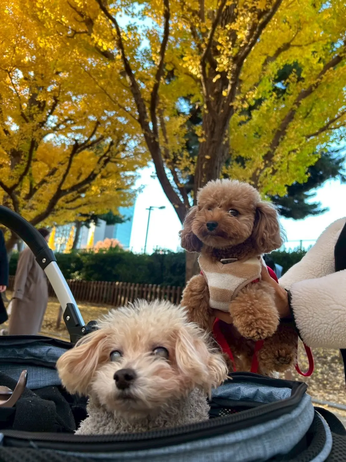 “心地よさ”と“きちんと感”が叶うきれいめスウェットパンツ_1_13