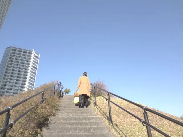 二子玉川公園　デジカメで撮影　二子玉川高層マンション