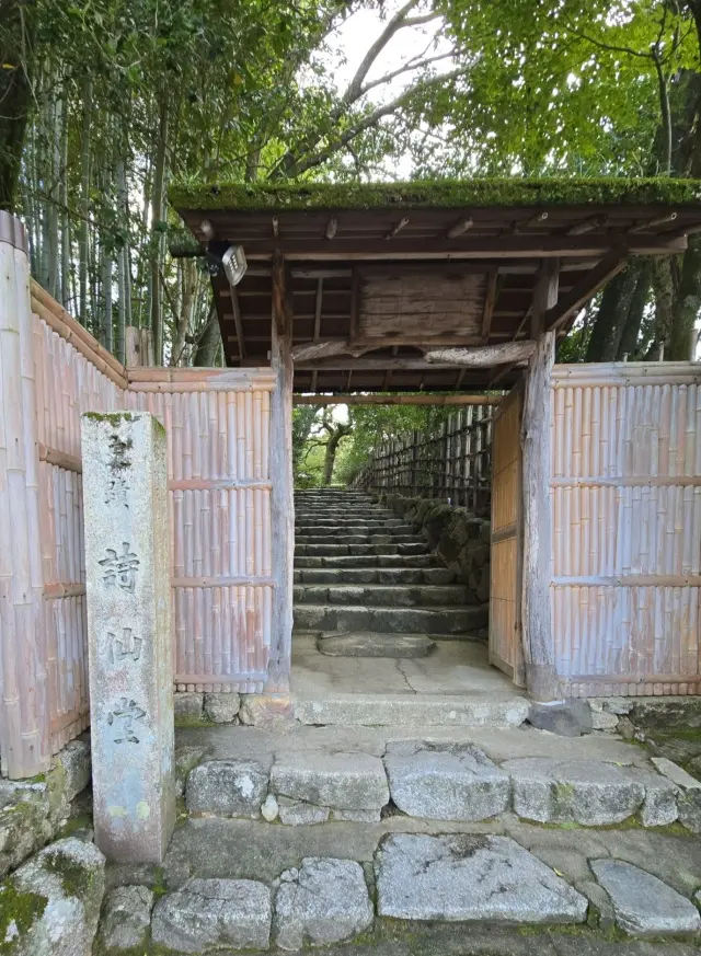 秋の京都ひとり旅・中編 ～瑠璃光院から詩仙堂へ〜わずかな時間も特別な京都の午後_1_10