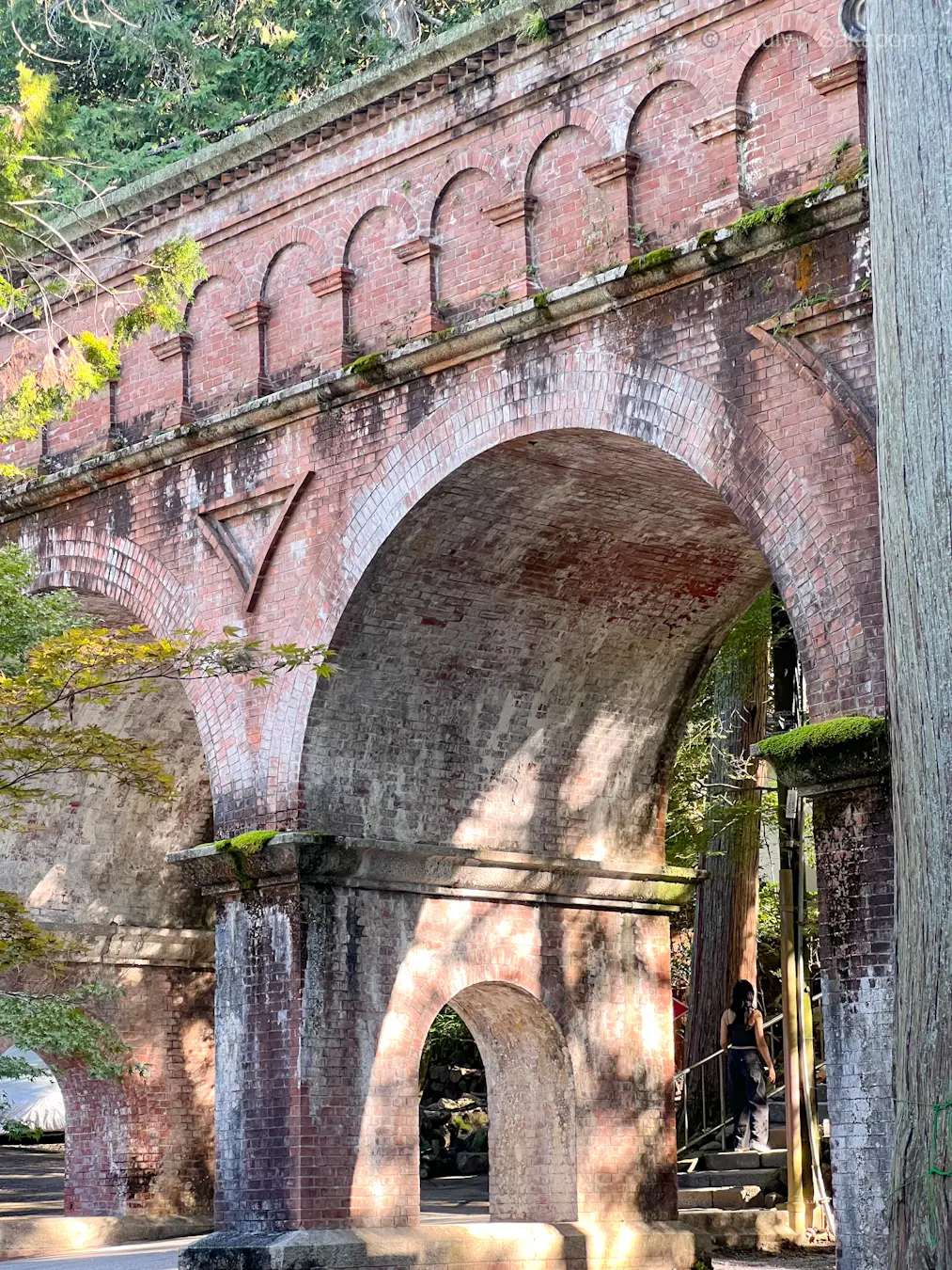 【京都】南禅寺🍁界隈でまったりお茶☕️はいかが?_1_4