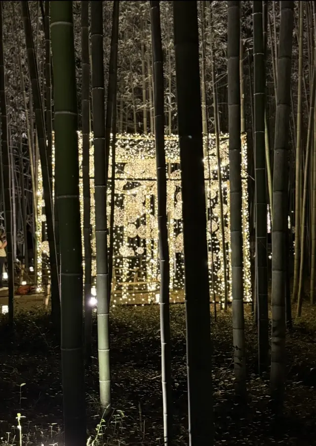 京都「嵐山月灯路」の幻想的な世界へ_1_8