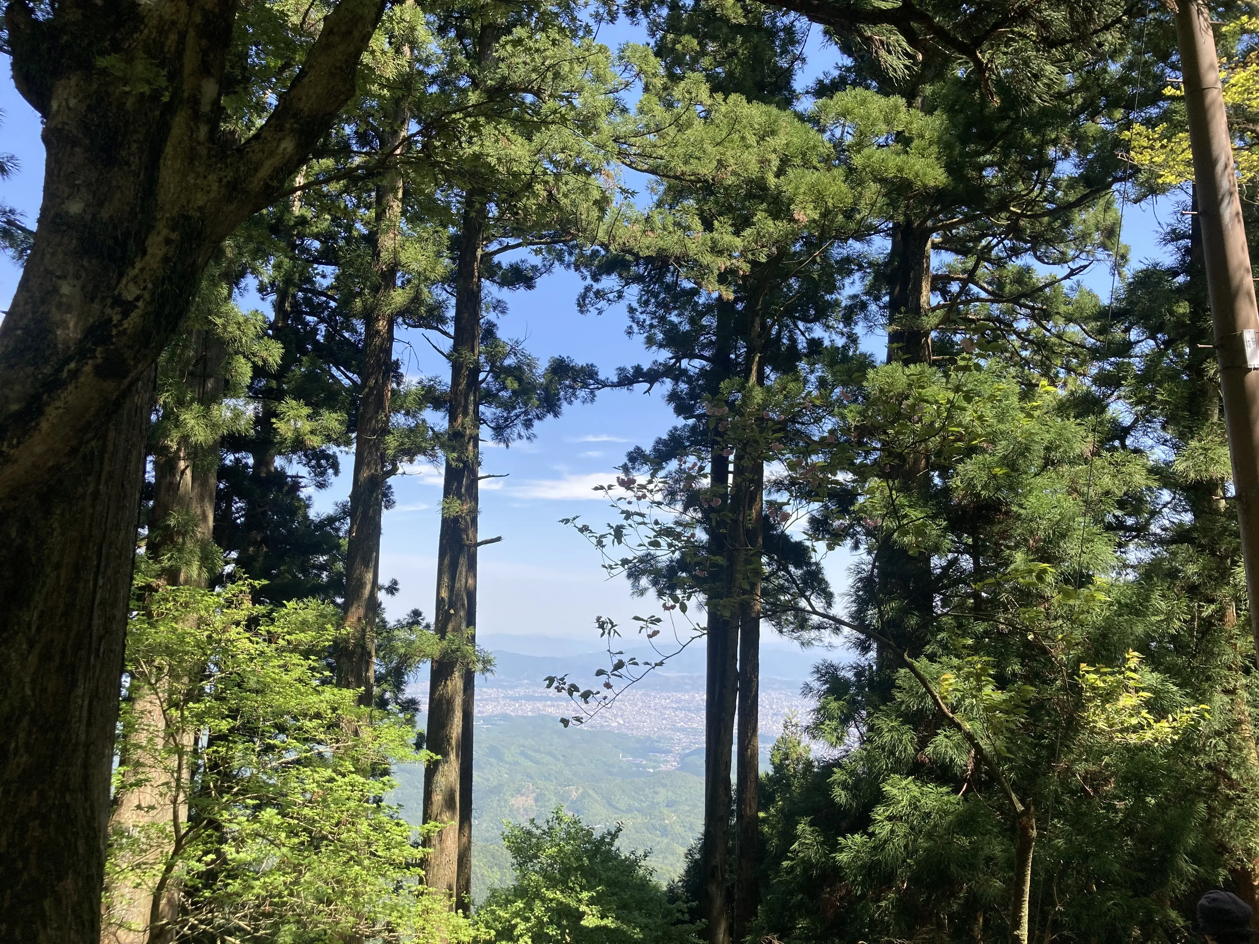 新緑の季節、京都愛宕山に登ってきました。_1_8