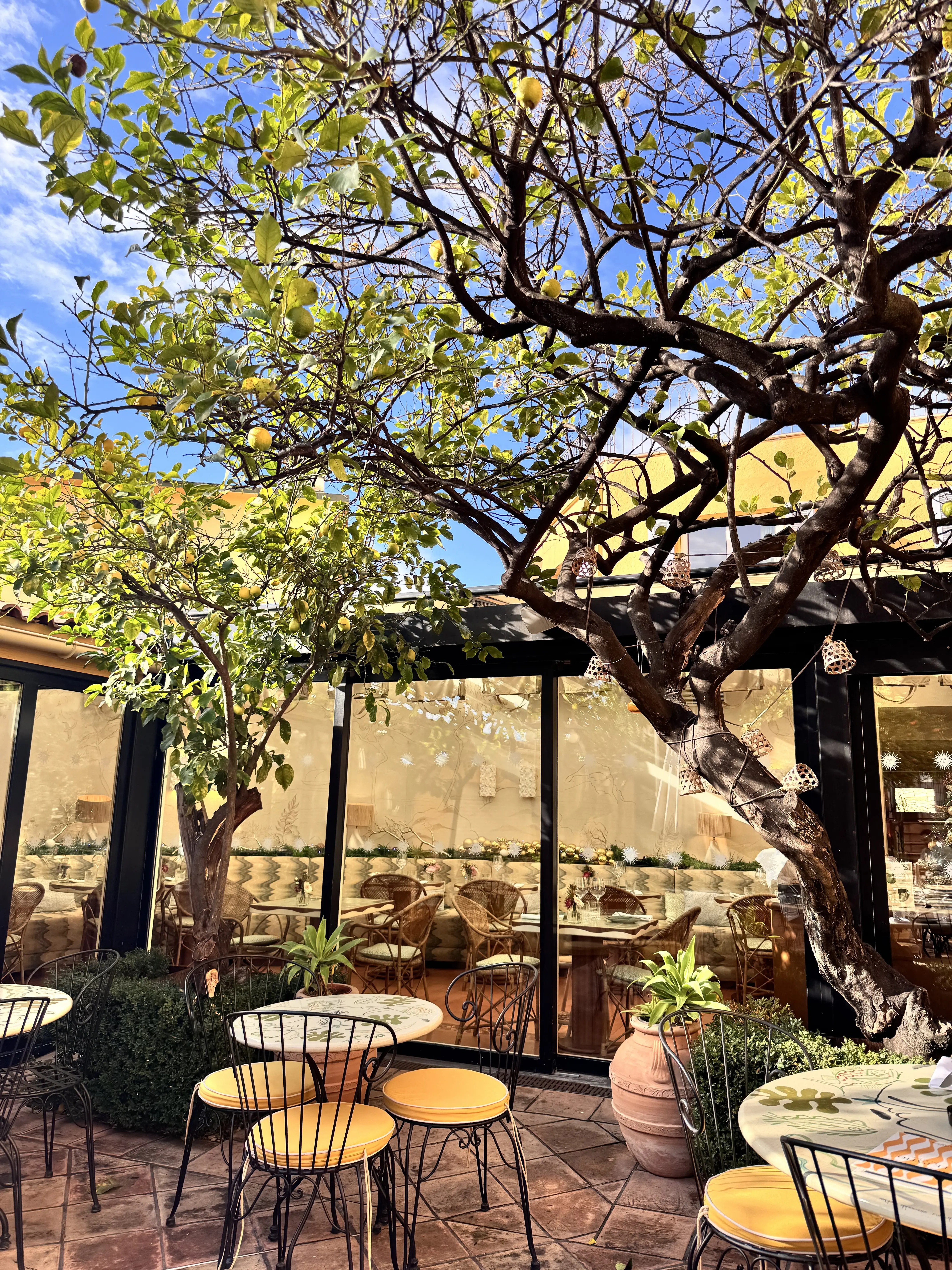 大人の冬旅in南フランス🇫🇷プラステ美デニムが大活躍！_1_18-2