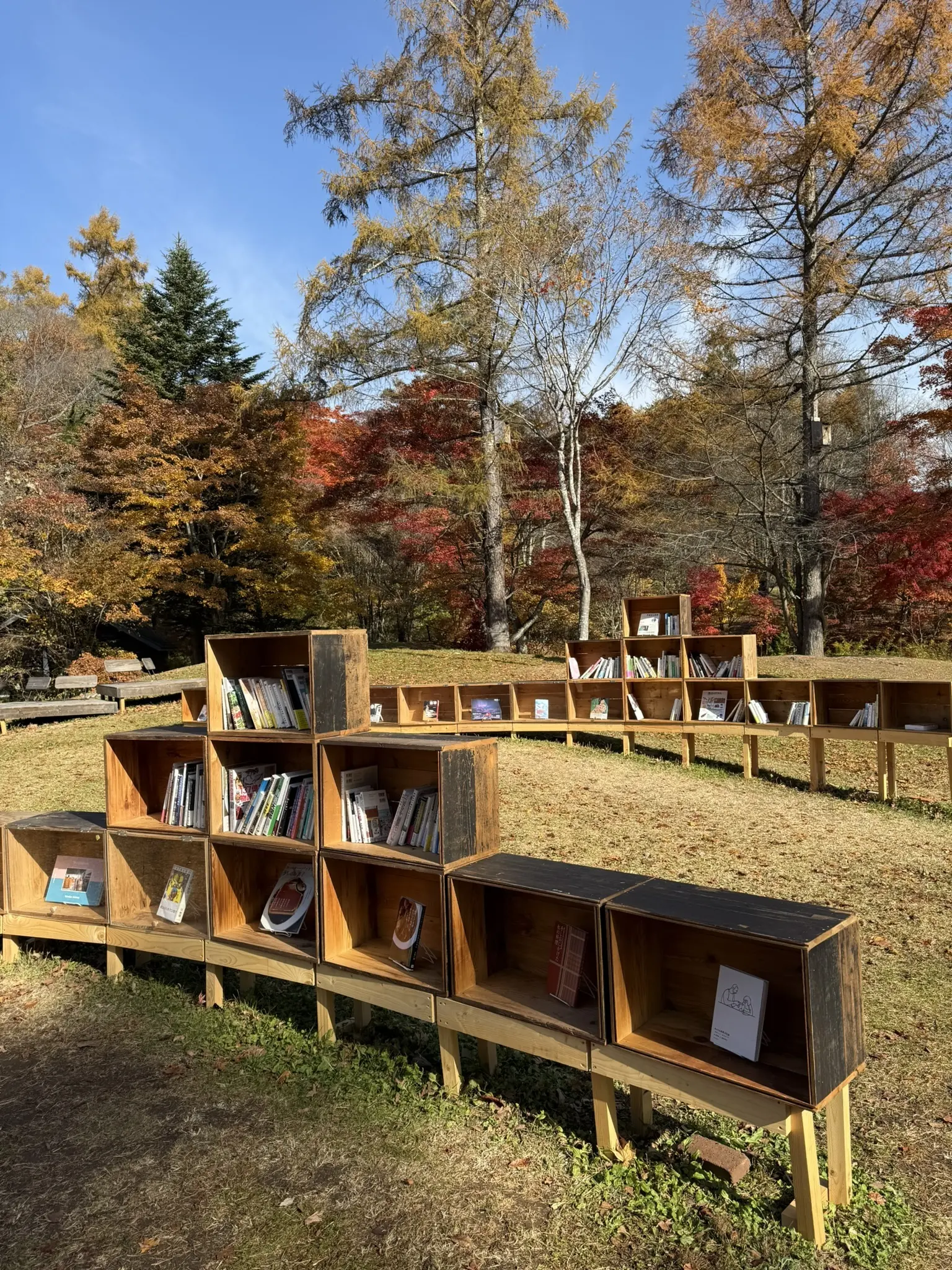 軽井沢星野エリア　絵本　紅葉