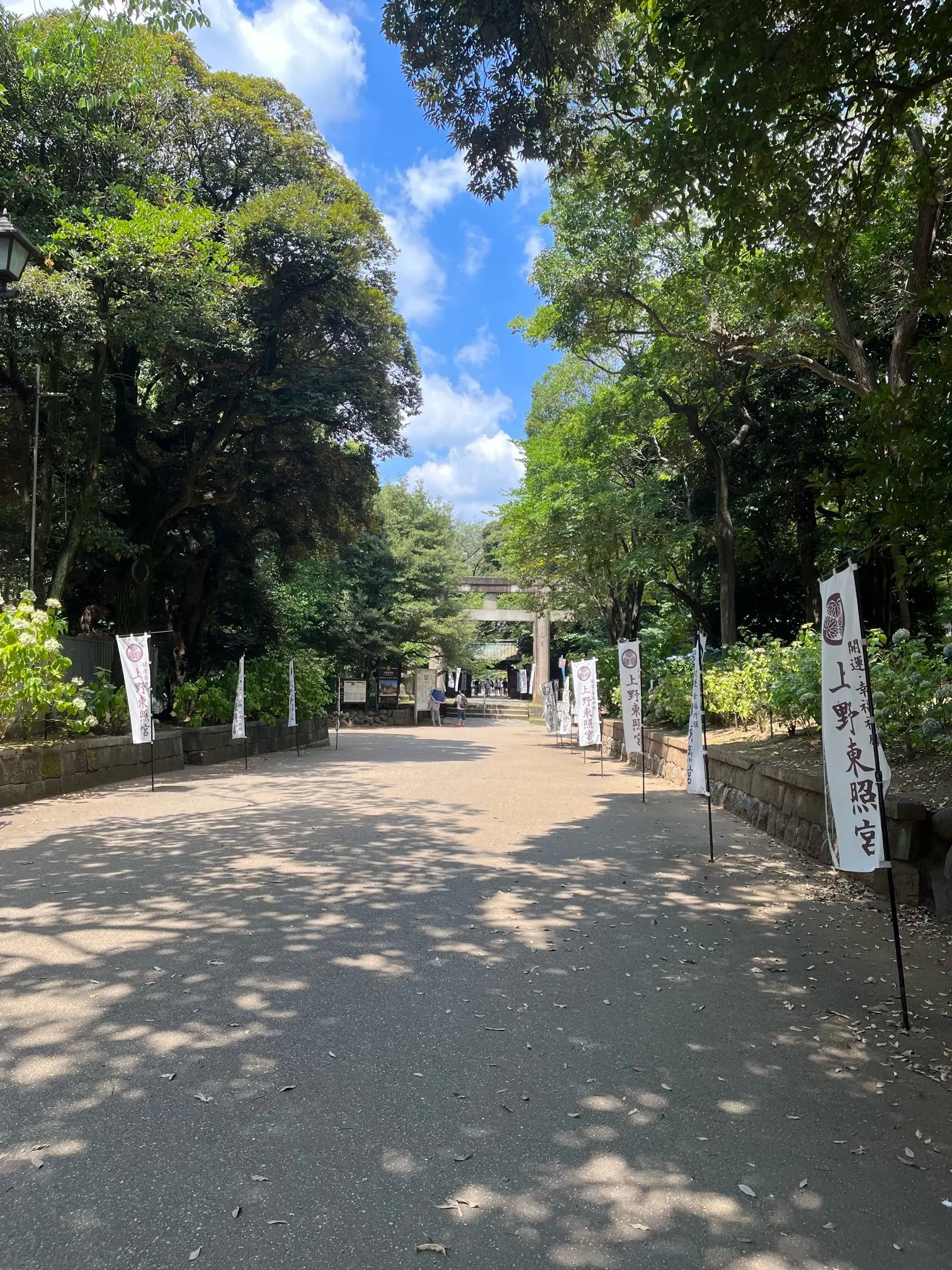 【神活】効果絶大！上野でたった30分しかなくても巡れる！！パワースポット神様をご紹介_1_1