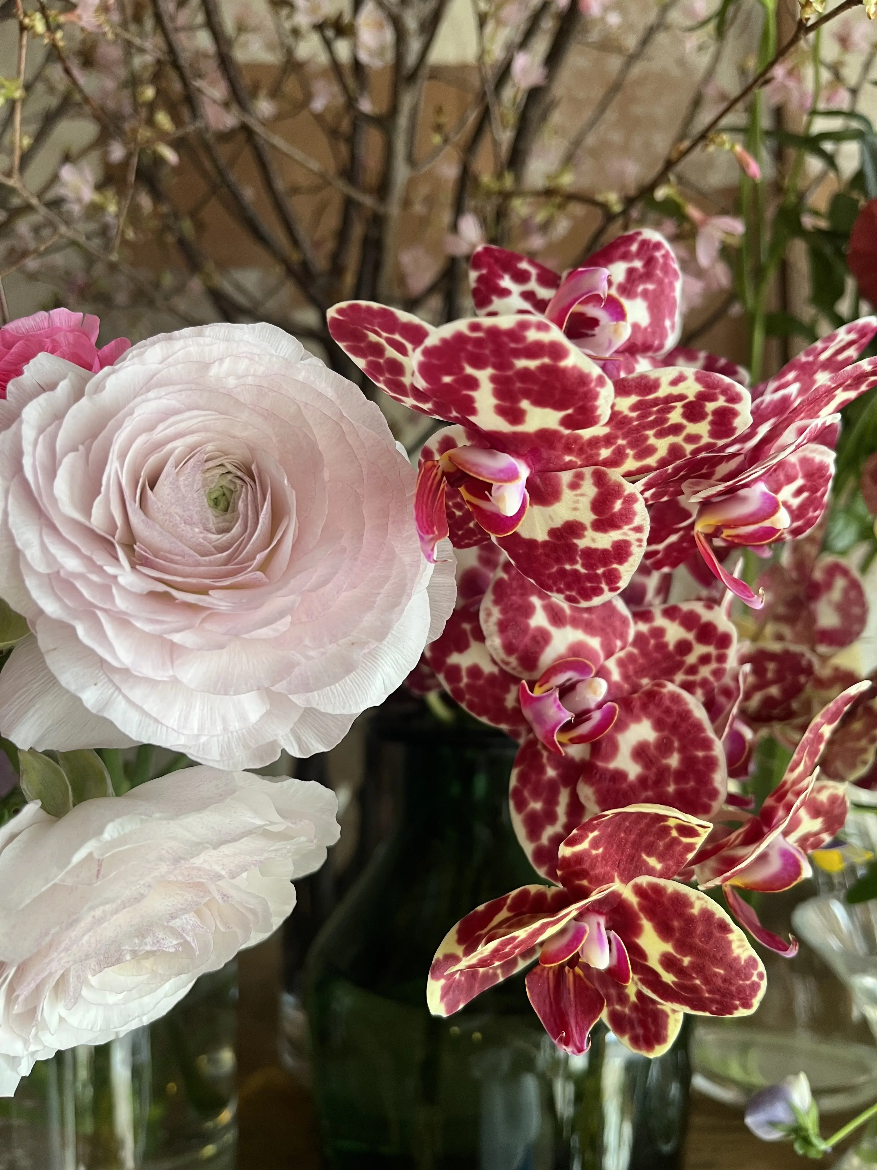 花屋で写真館_1_6