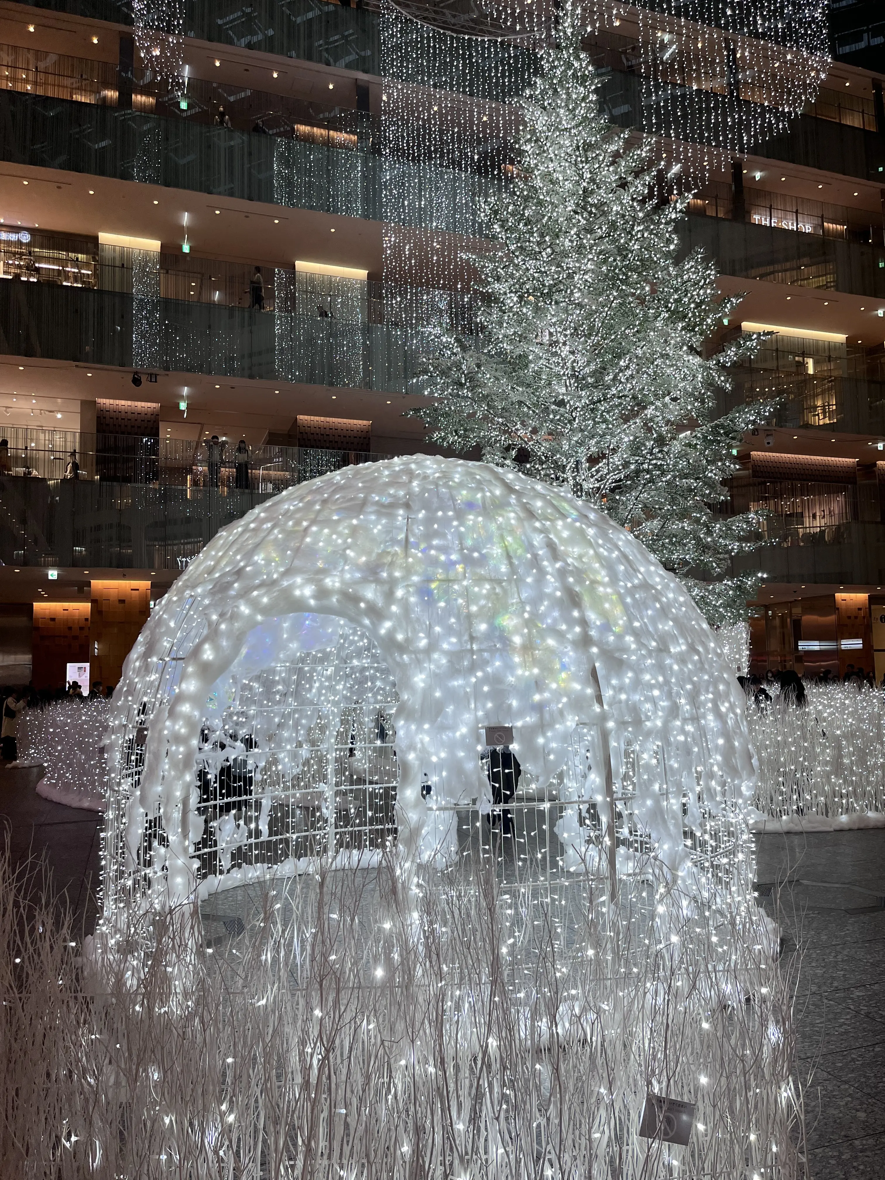 お花好きメンバーでキラキラ観賞♪日比谷〜丸の内巡り_1_20