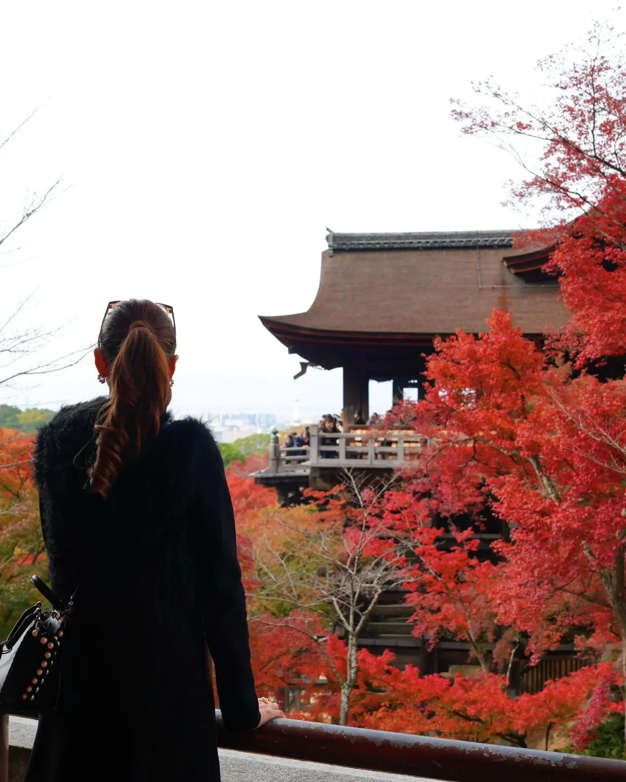 「そうだ京都、行こう。」🍂✨_1_18