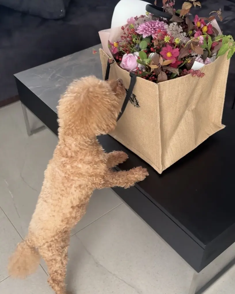 花と暮らす、月一のご褒美時間♪_1_6-2