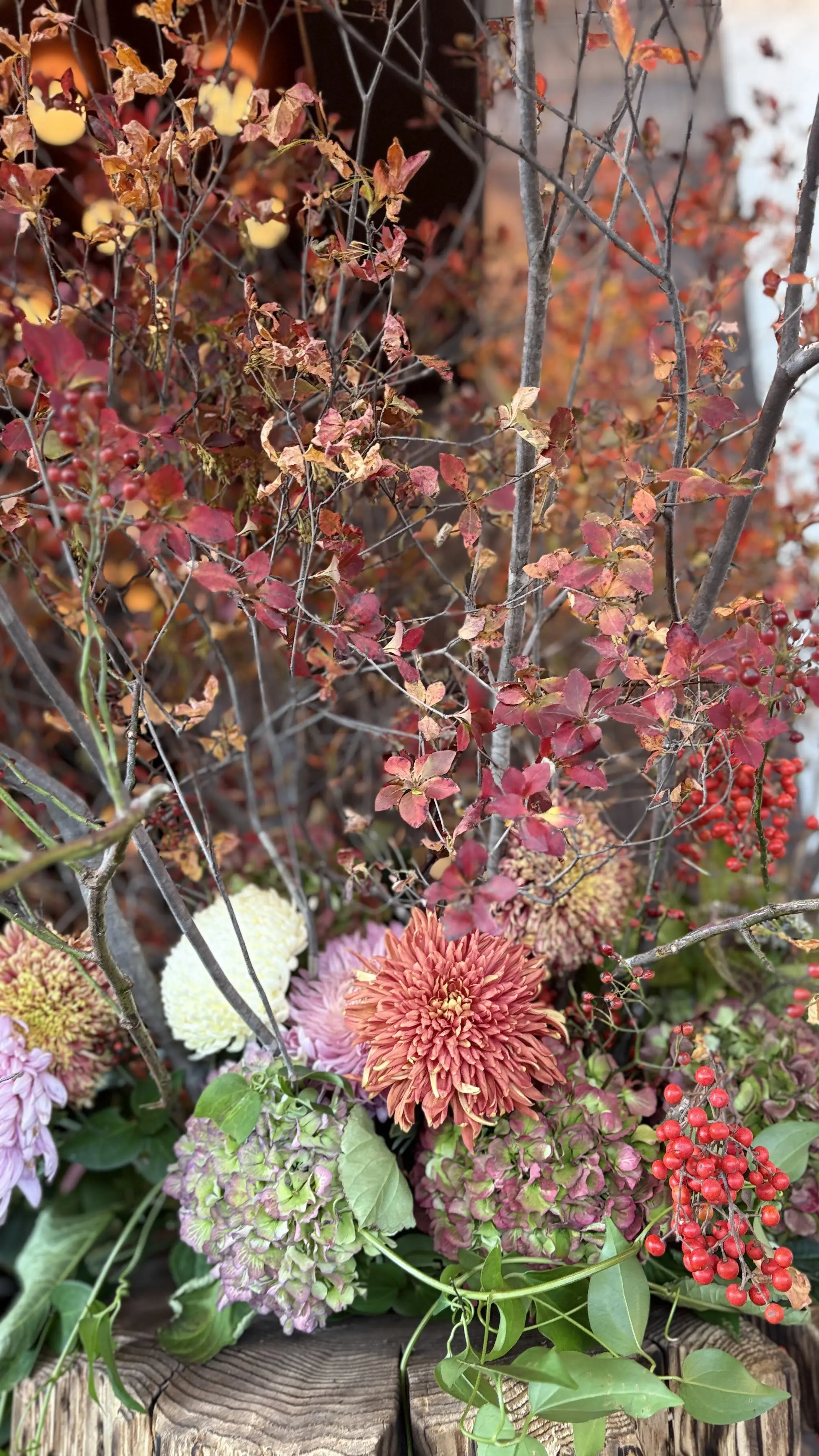 高輪　レストラン　植込み　ディスプレイ　高輪ゲートウェイ　ガーデンハウス