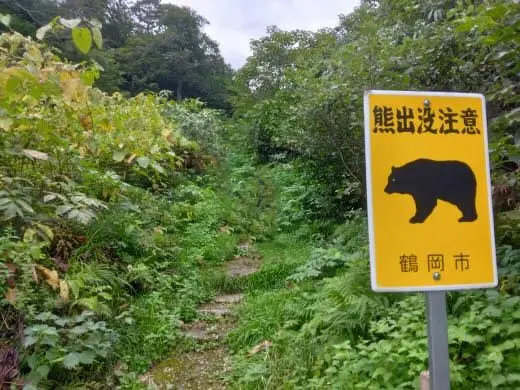 山形‼️毎年恒例の出羽三山の旅とフルーツ巡り_1_6