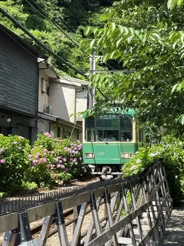 鎌倉紫陽花と続・続・最後から二番目の恋ロケ地巡り_1_11