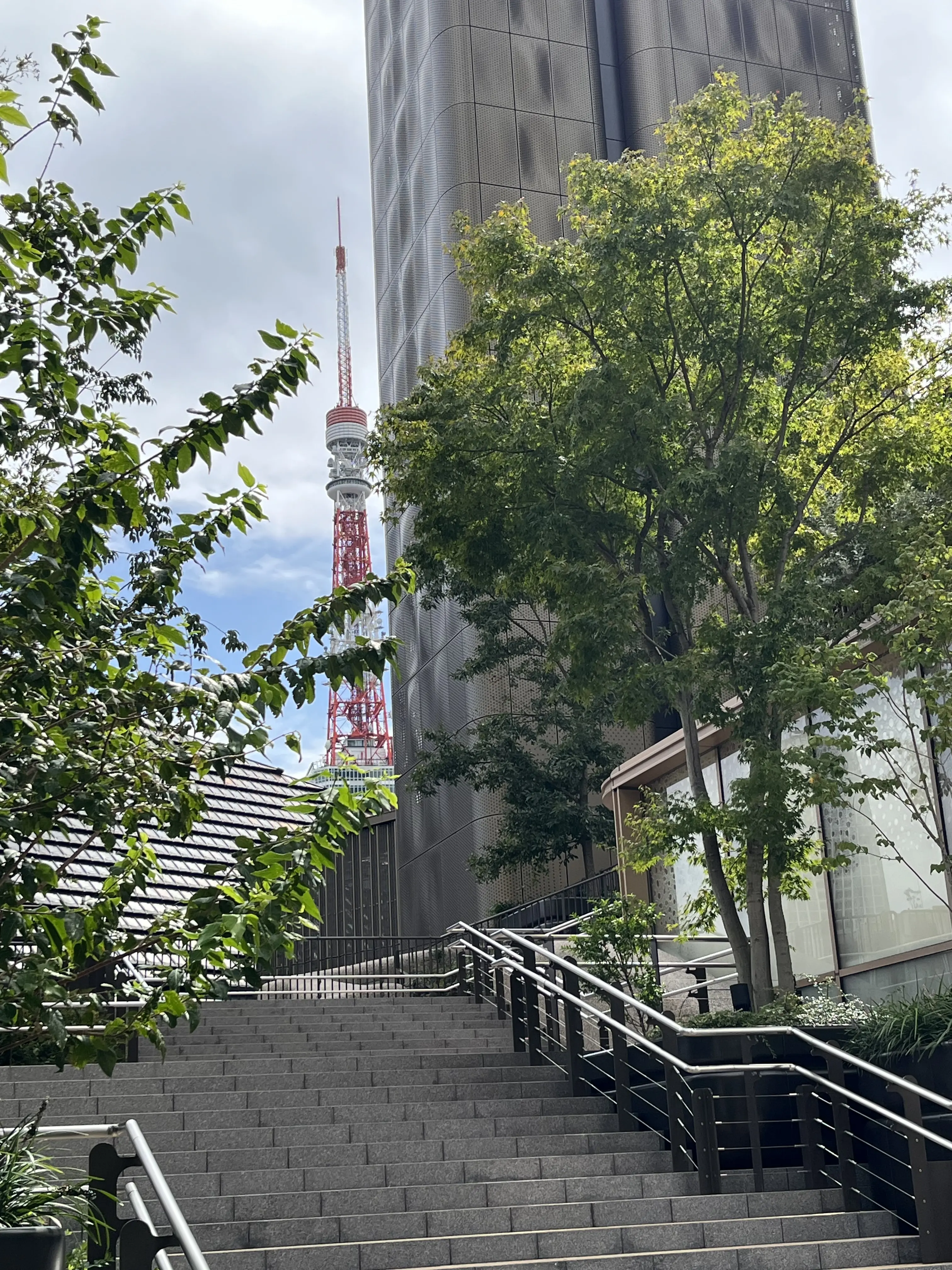 麻布台ヒルズで再会ランチ_1_3