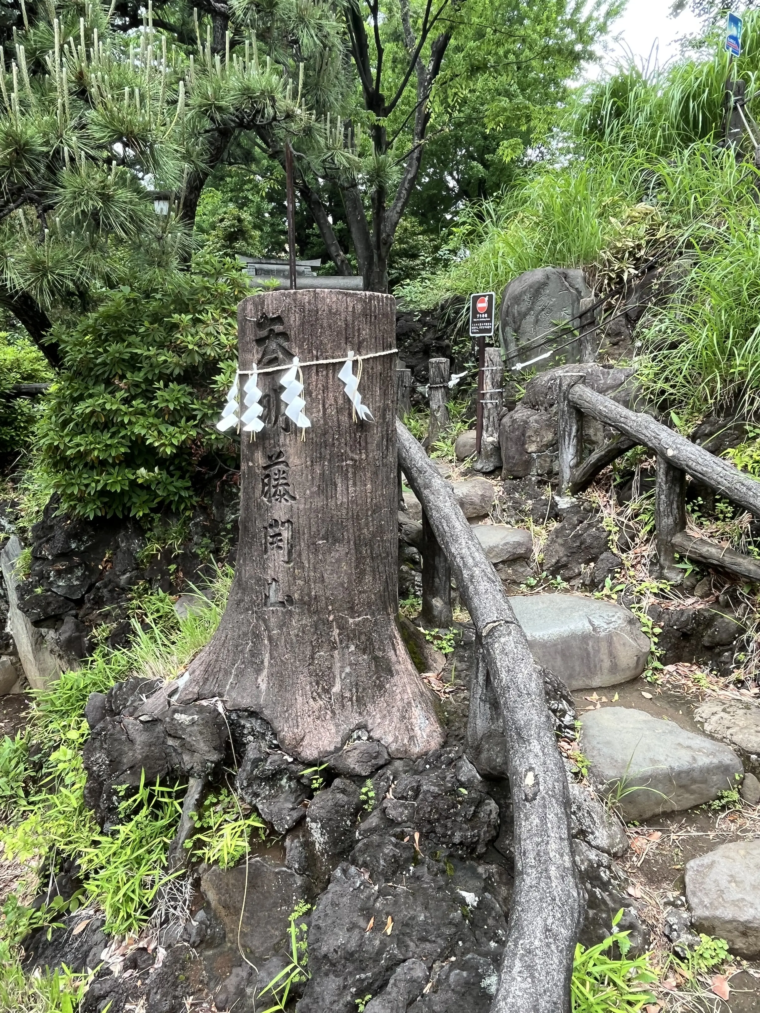 目白から千駄ヶ谷・新宿へ_1_10