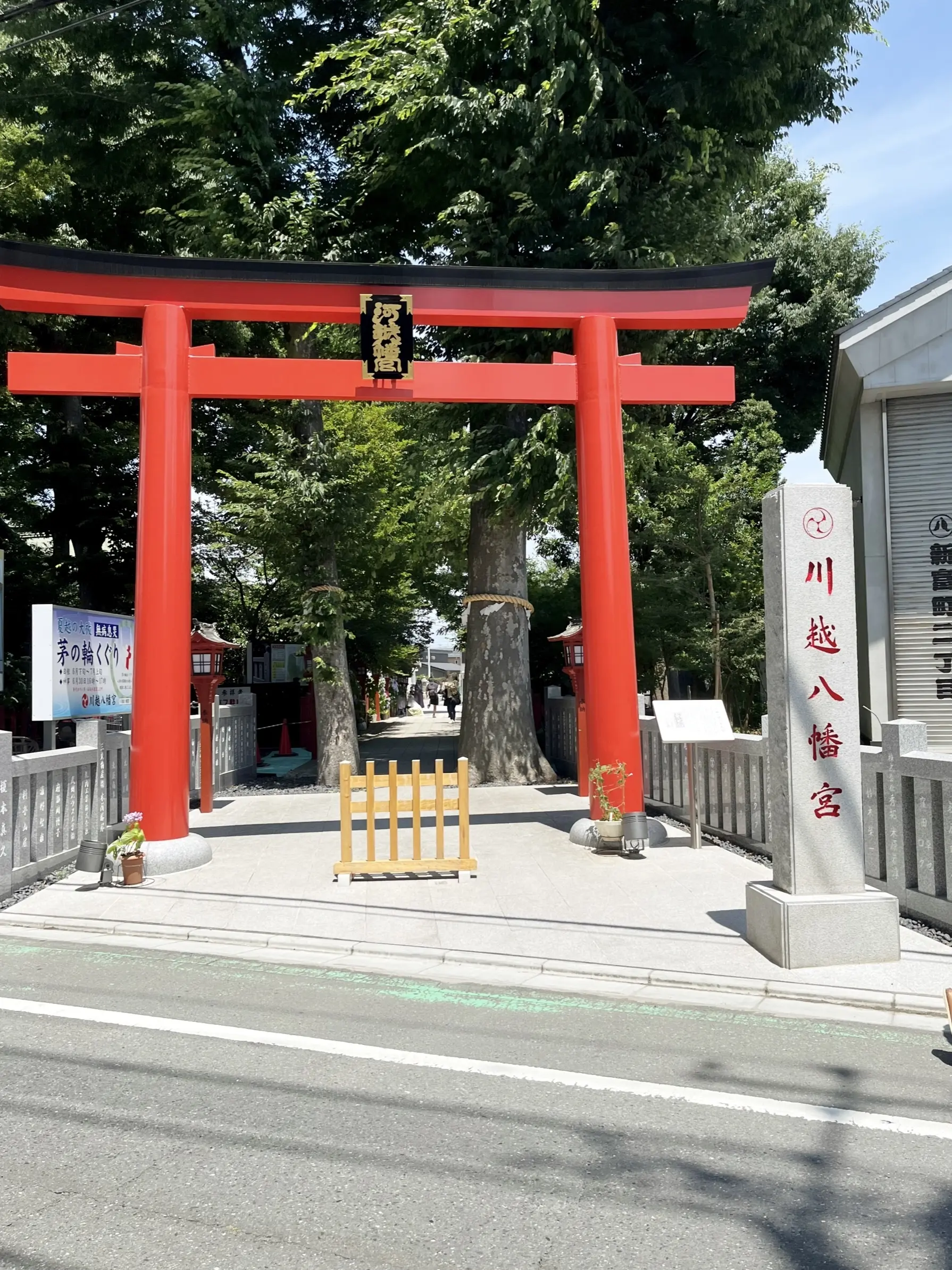 茅の輪くぐりと楽しみにしていたライブ_1_1