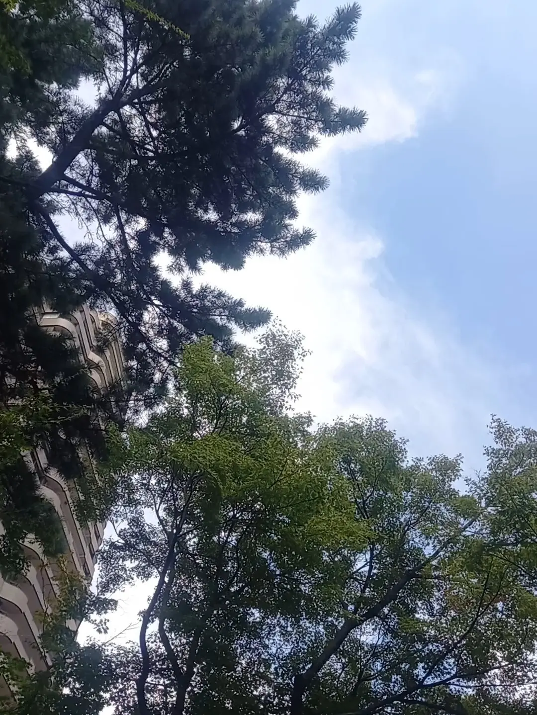 まだまだ大活躍♡ユニクロのリブブラトップ_1_8
