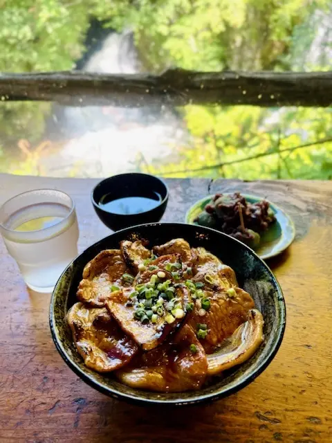 竜頭之滝を眺めながら豚丼食べました♪_1_3