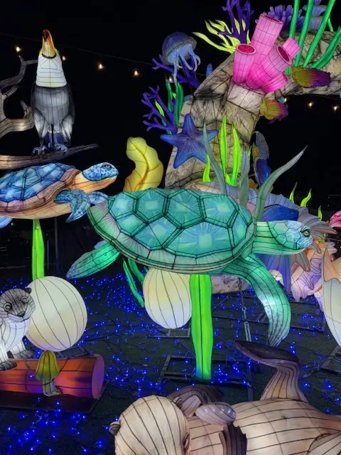 ドイツ村のウィンターイルミネーション素敵でした♪_1_7