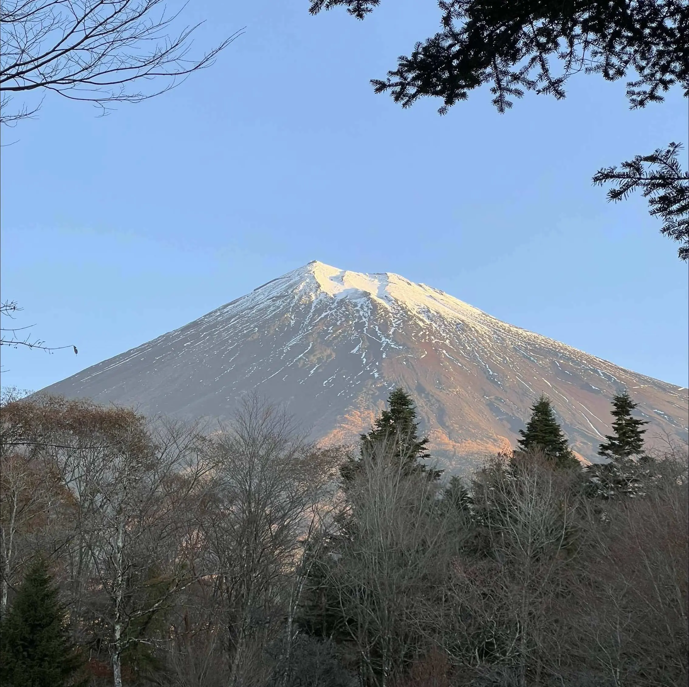 キャンプ場「PICA表富士」キャンプサイトから見た富士山