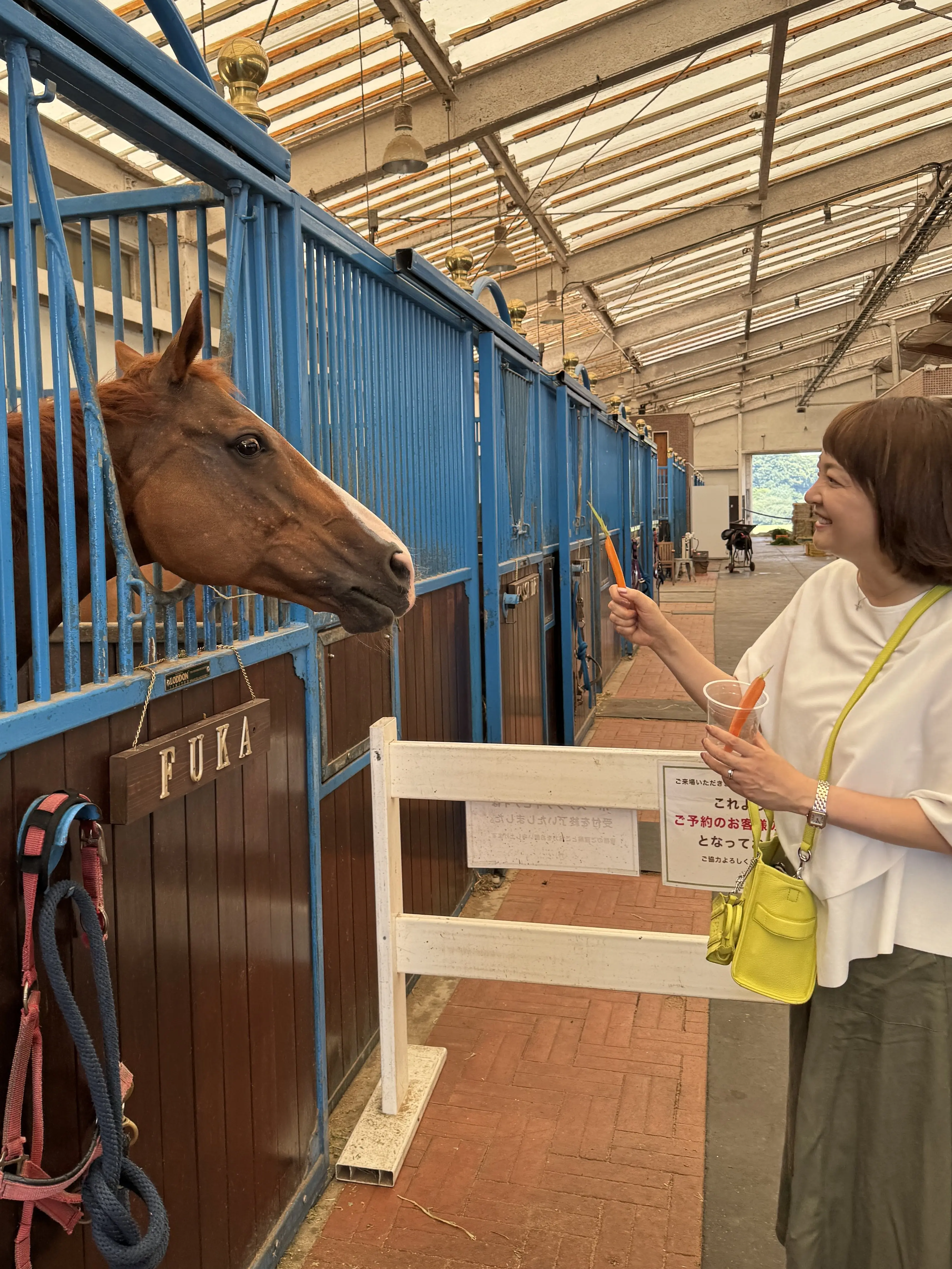 NASU FARM VILLAGE 梅澤千佳子