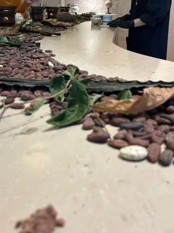 チョコレートだけじゃない！奥深いカカオの世界を体験するラボ_1_7