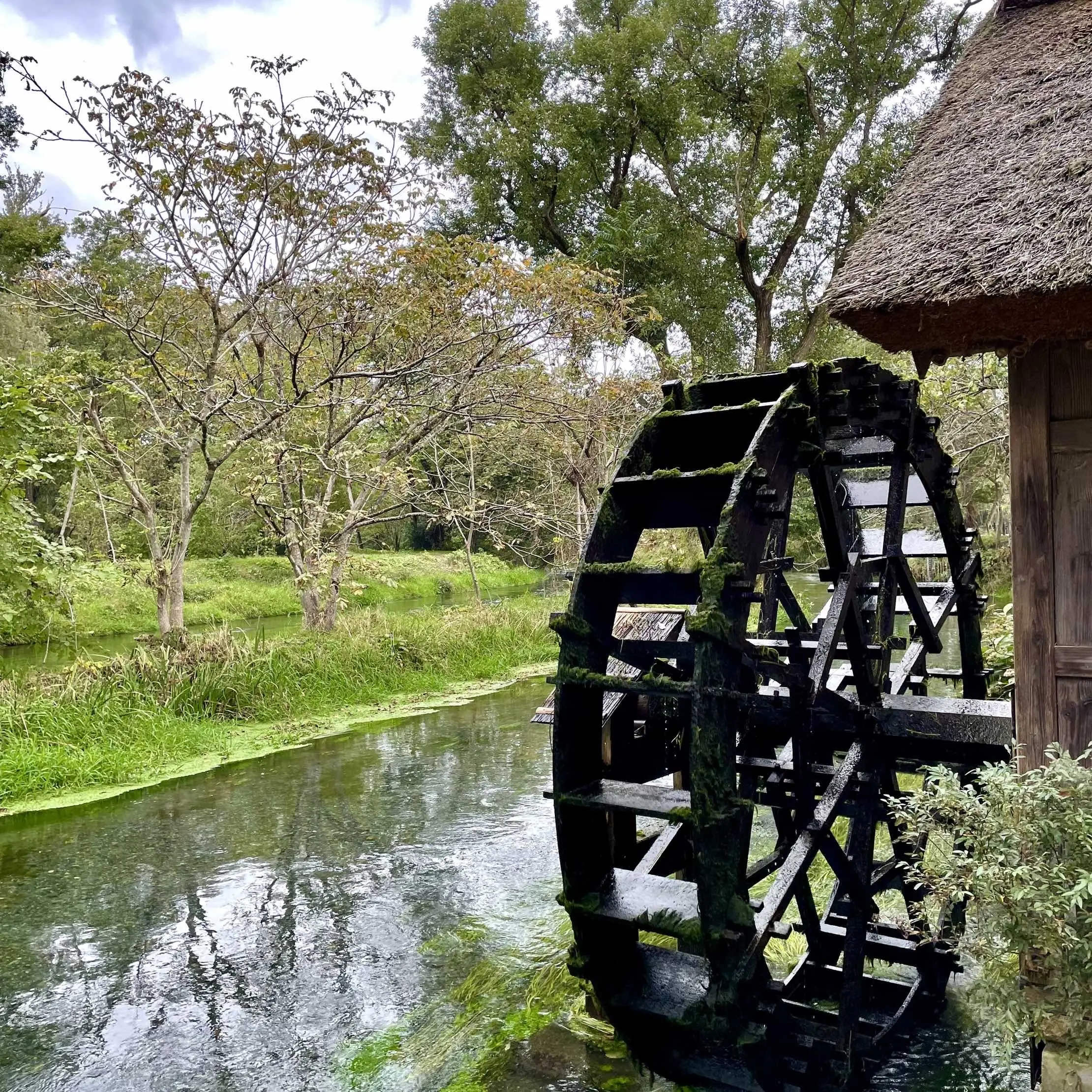 長野県の安曇野にある「大王わさび農場」、蓼川と水車