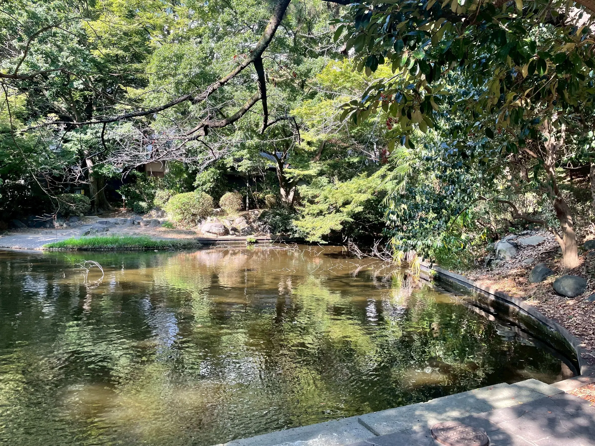 清水谷公園