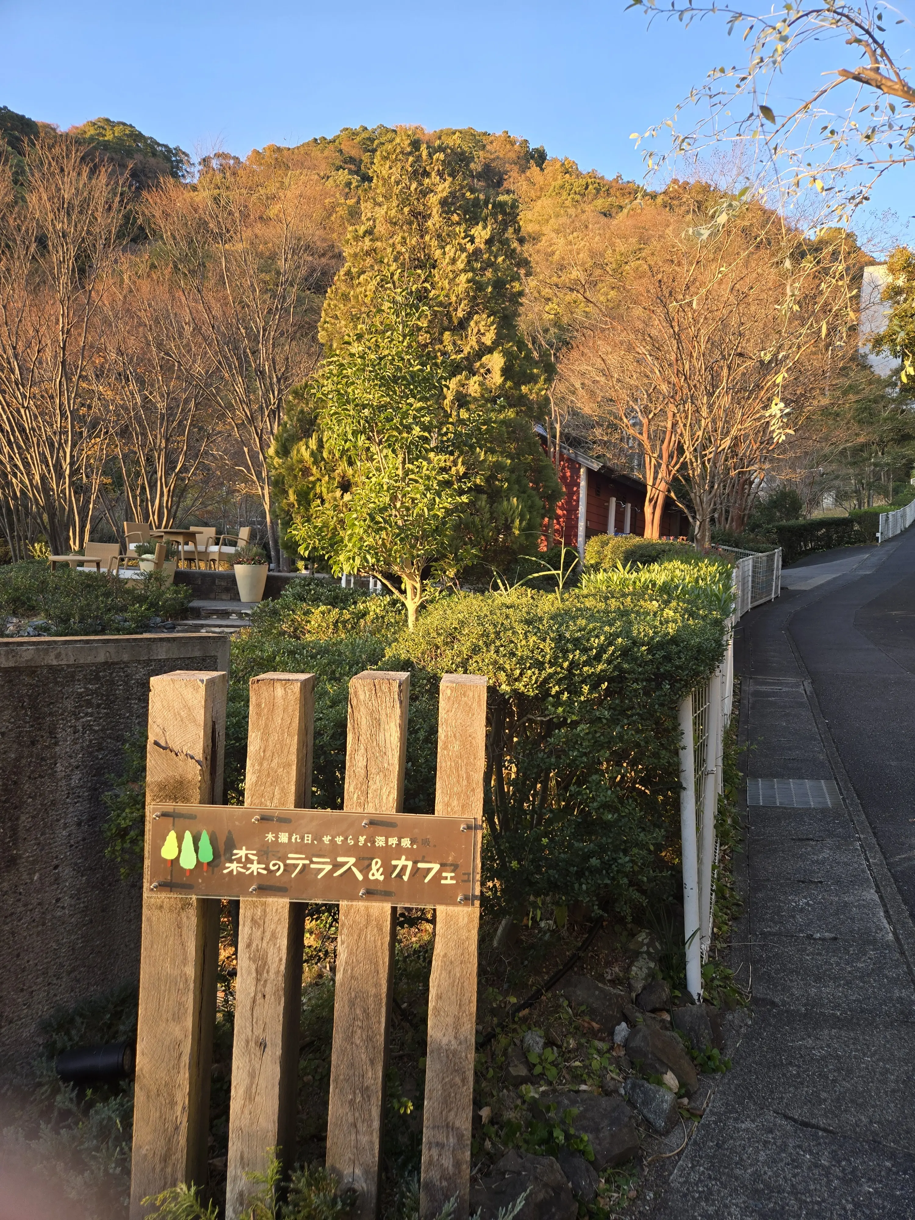 家族みんなが楽しめるオールインクルーシブなホテルステイ_1_13