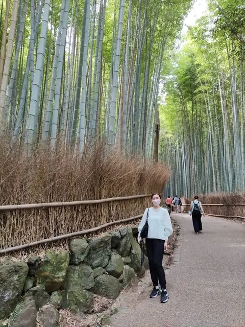 京都・嵐山の竹林