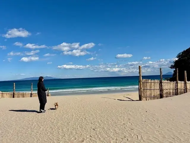 伊豆へ河津桜を見に行ってきました♪