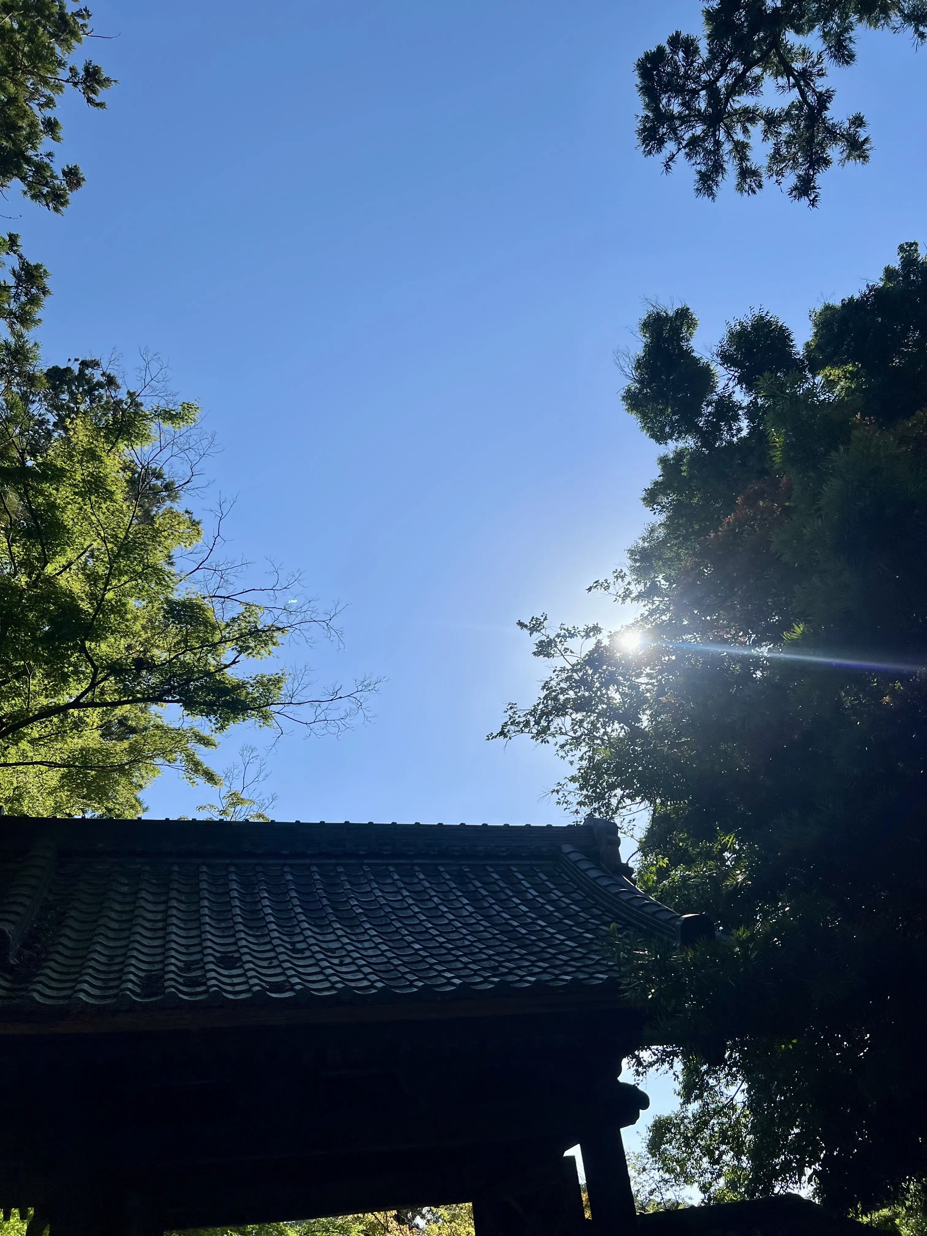 鎌倉円覚寺の風鈴棚に癒される夏🎐_1_1