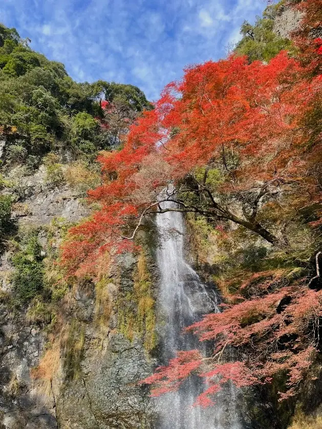 箕面の大滝