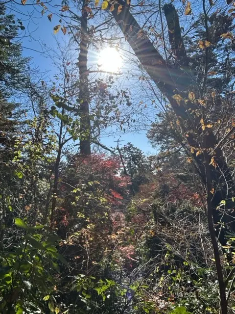 世界一の登山者数を誇る「高尾山」登山☆_1_7