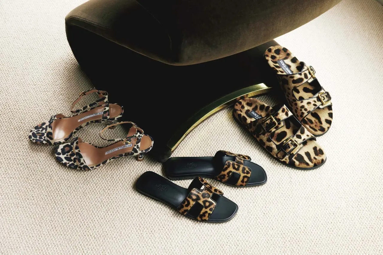 Leopard