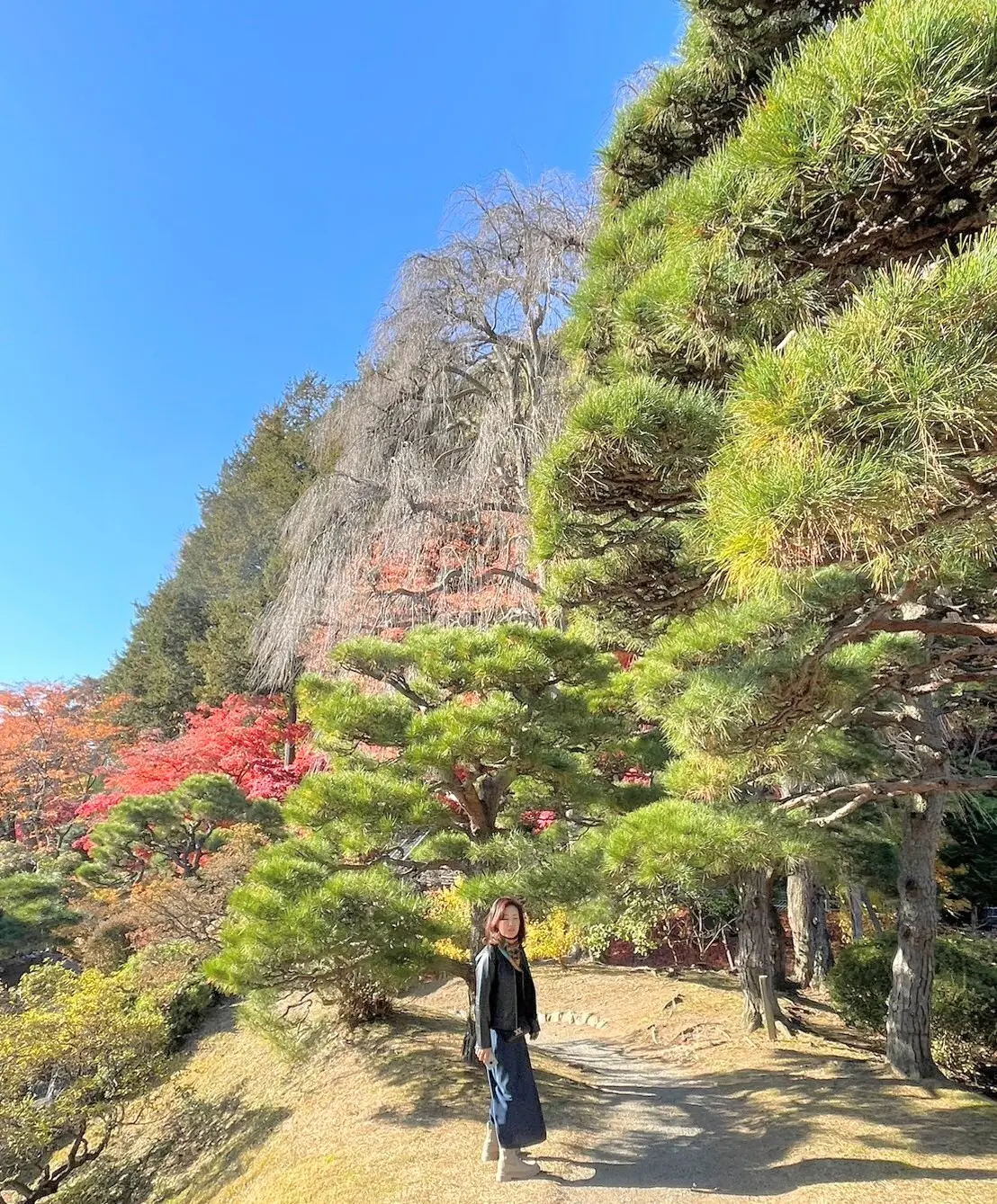 旧南部氏別邸庭園