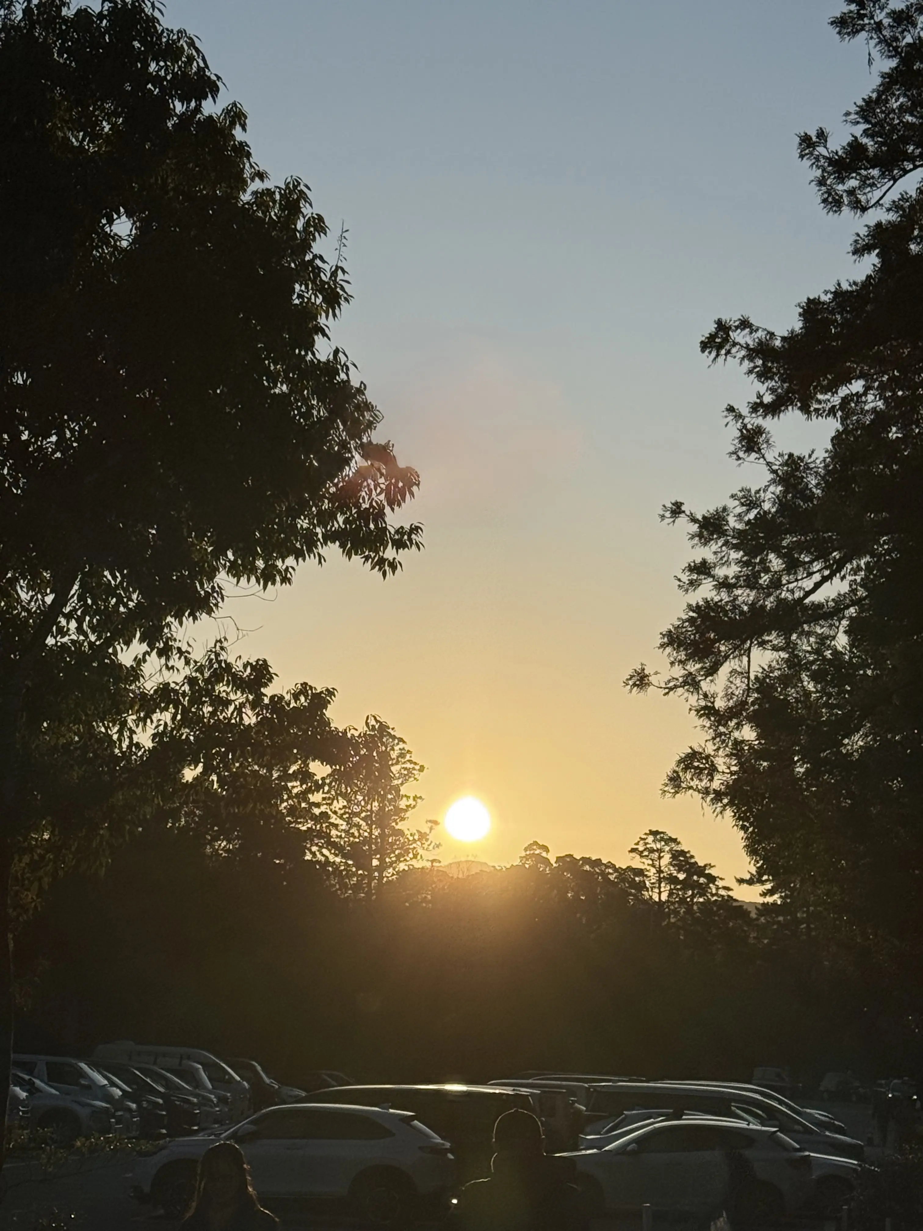 伊勢神宮　初詣　早朝初詣　午年　神馬　三重県　ご来光　朝日　五十鈴川　荒祭宮　おかげ横丁　赤福　赤福本店　赤福餅　二見興玉神社　外宮　　内宮　夫婦岩　二見興玉神社　おみくじ　大吉　2026年