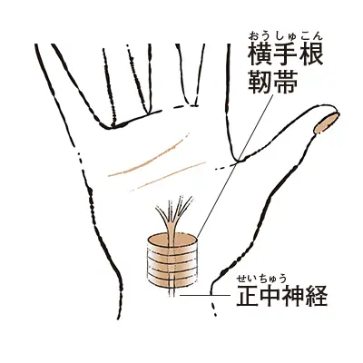 3. 人さし指や中指などがしびれる “手根管症候群”【50代のお悩み・更年期の手指問題】_1_1