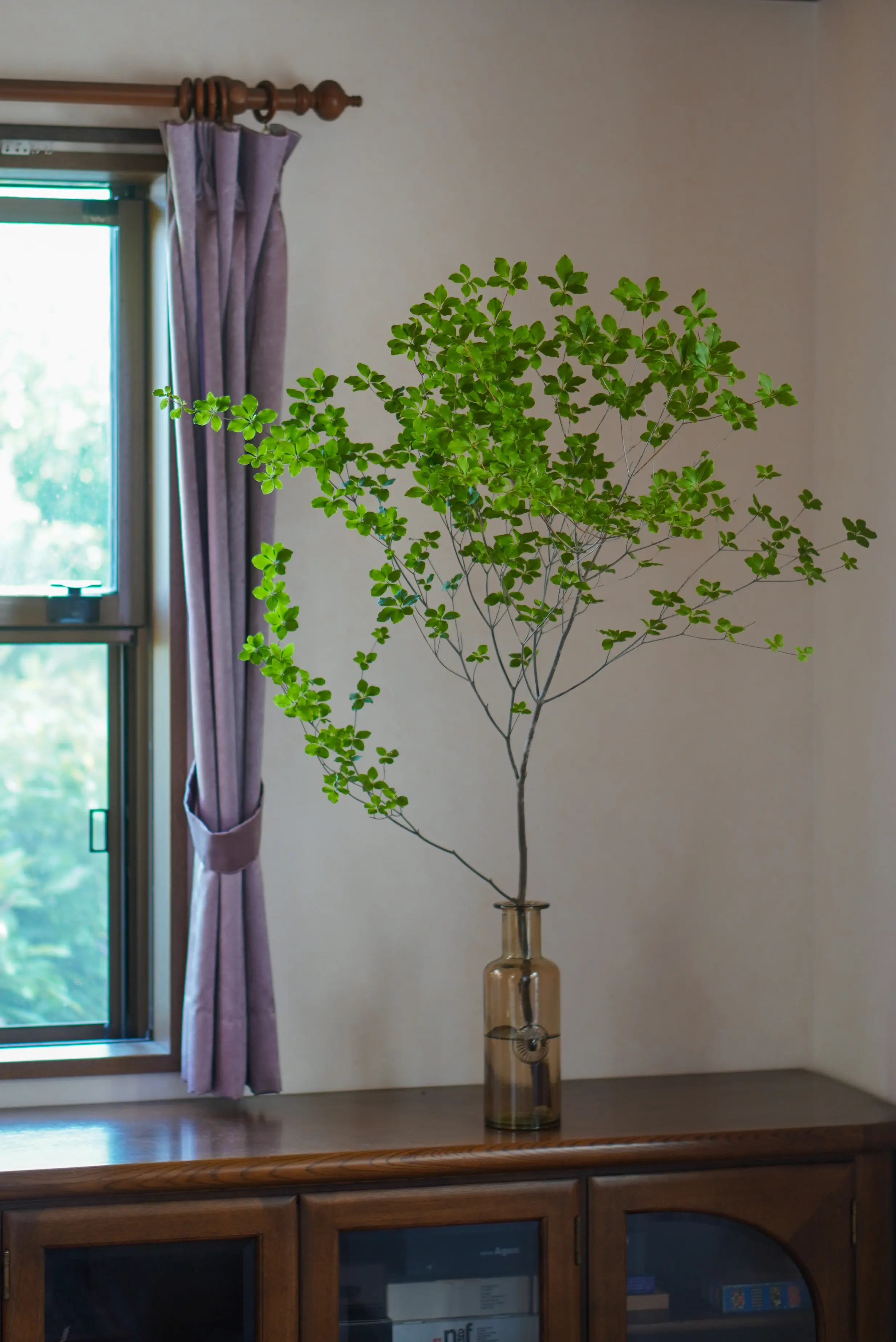 涼を呼ぶグリーンや花を部屋に♪_1_6