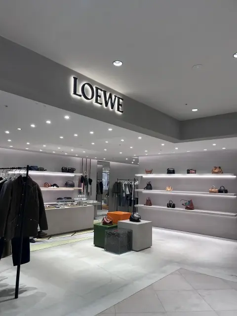 ロエベの気になるスモールウォレット_1_4