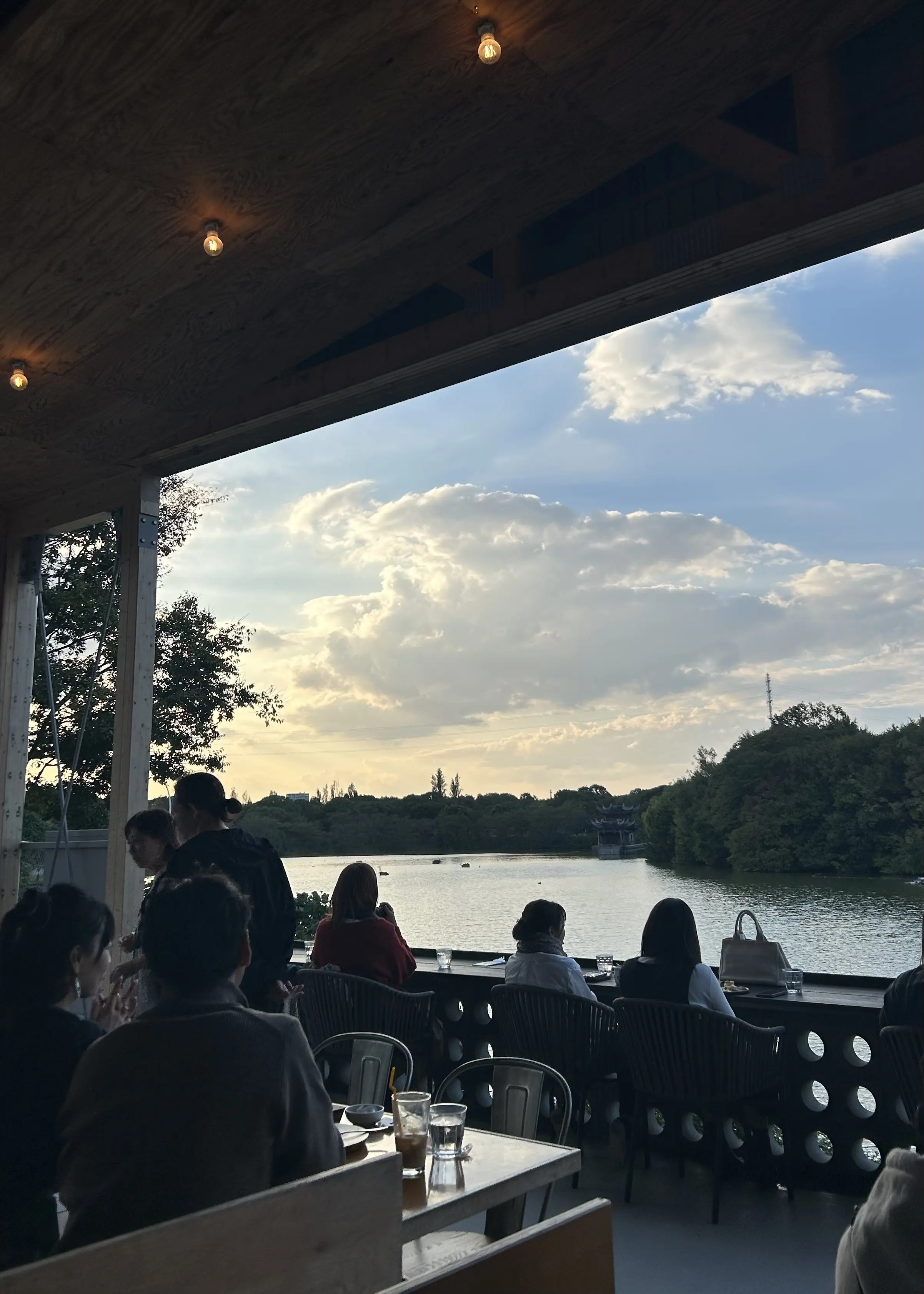 秋空とコスモスの丘✨_1_11-2