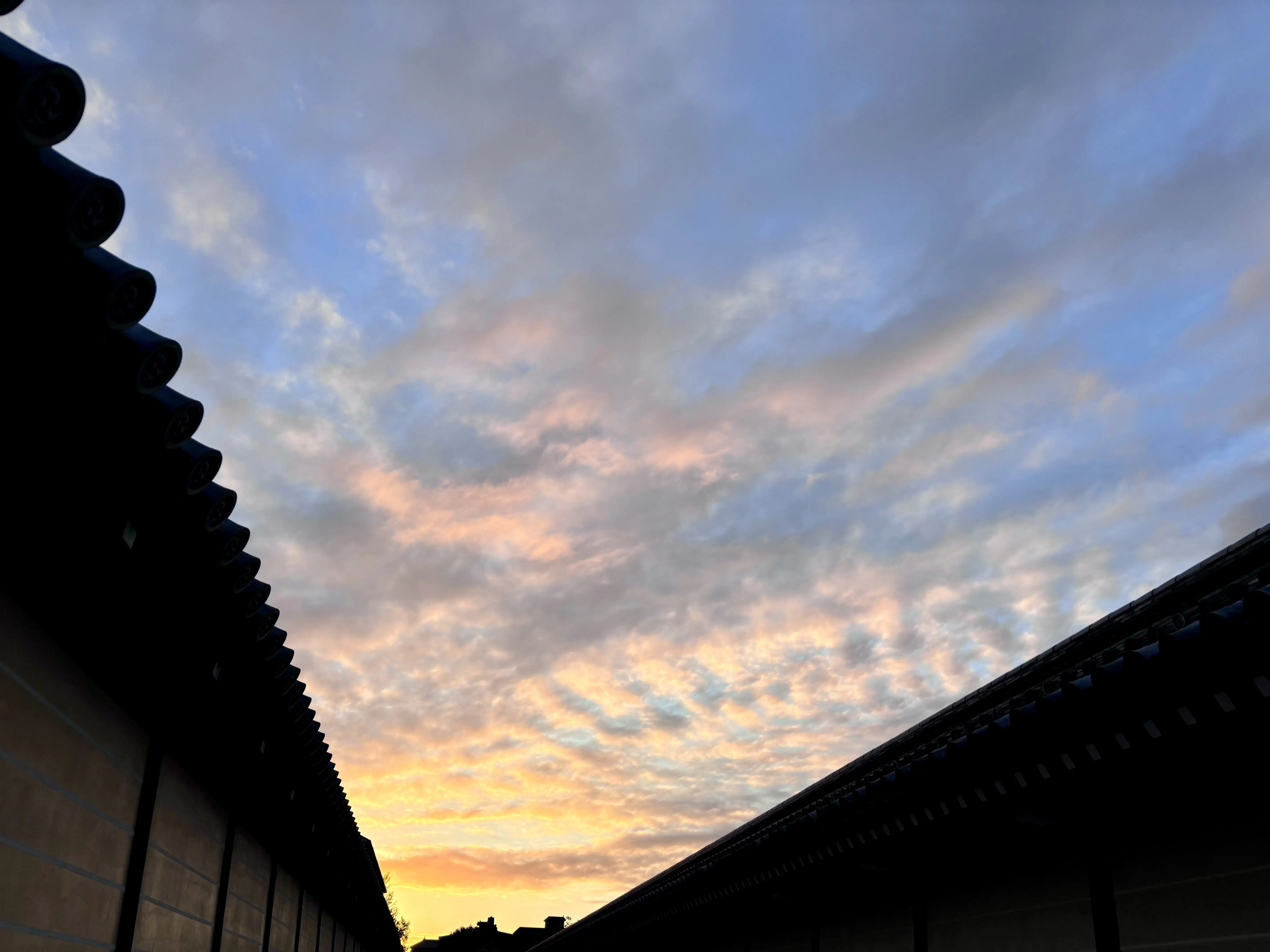 京都　西本願寺