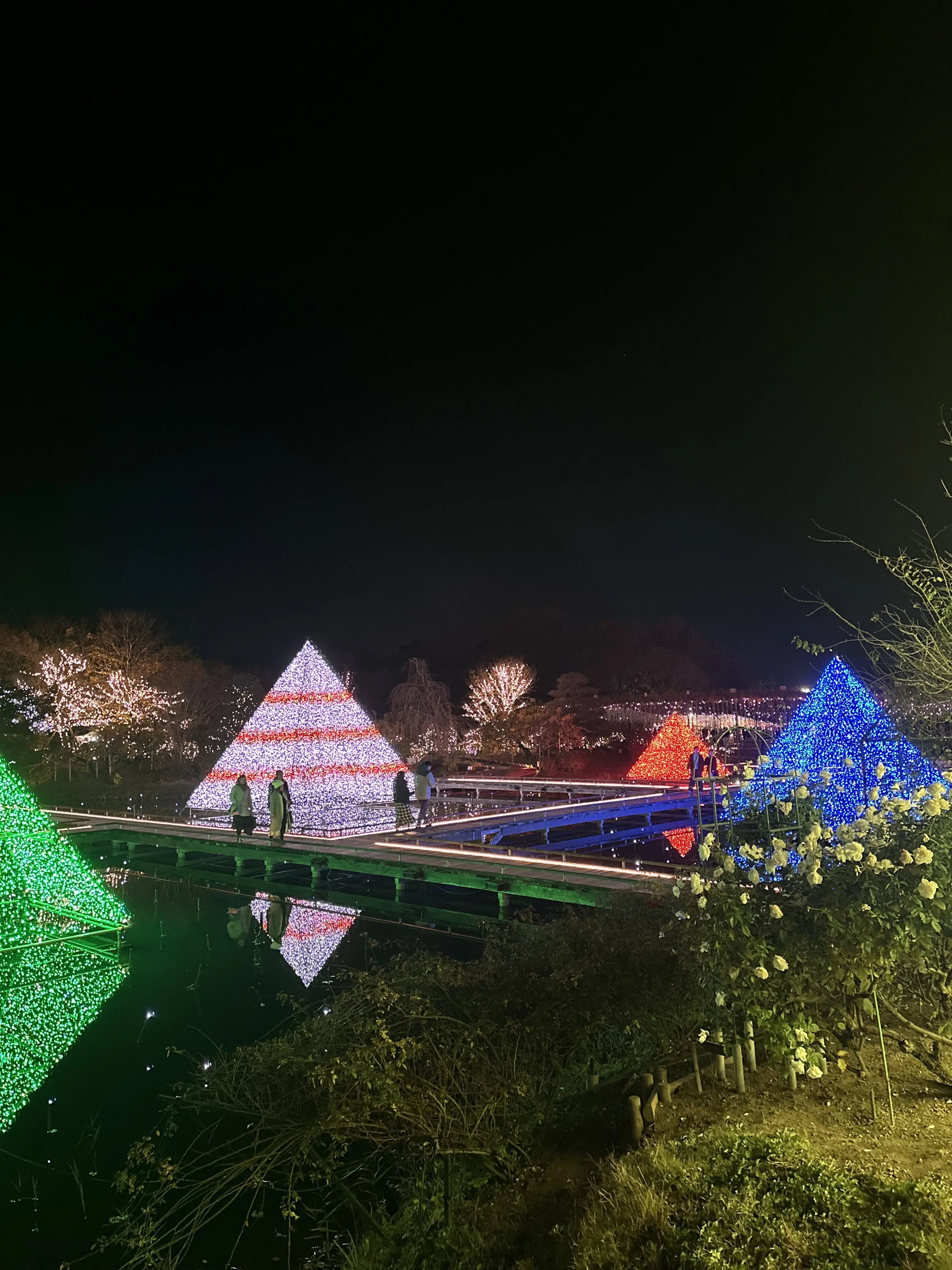 ため息が出るほど綺麗なあしかかフラワーパークへ_1_6