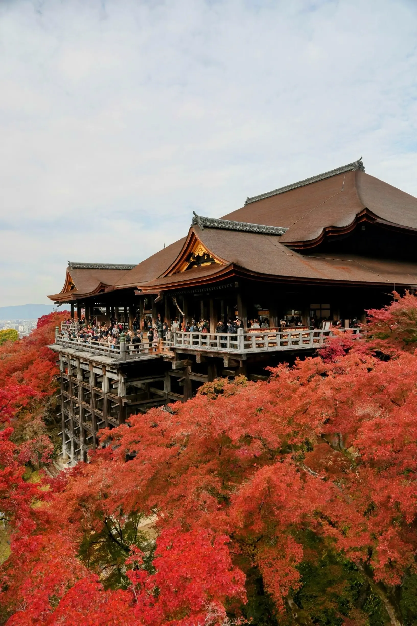 「そうだ京都、行こう。」🍂✨_1_9