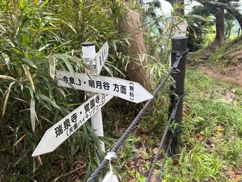 新緑眩しい鎌倉ハイキングに出掛けませんか？_1_24