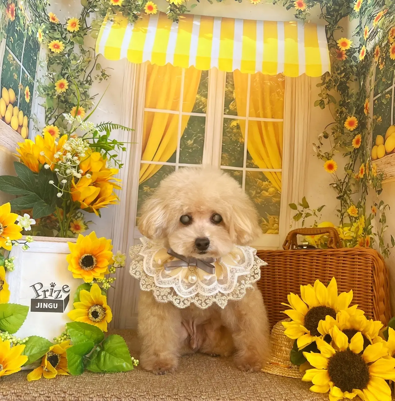 夏の涼やかリネンワンピース2styling_1_6