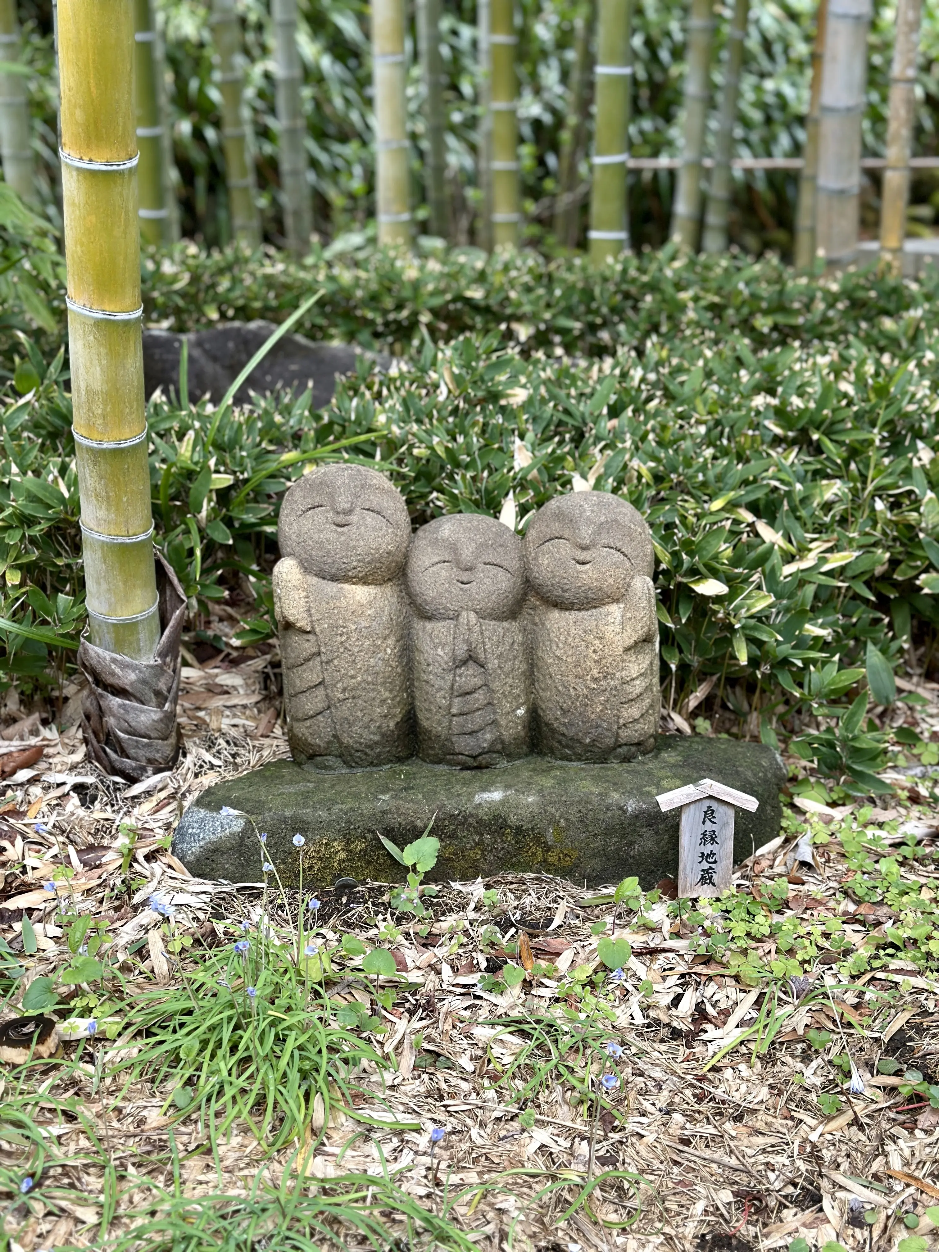 【鎌倉さんぽ】お寺巡りとMOKICHI KAMAKURAでランチ_1_9-3