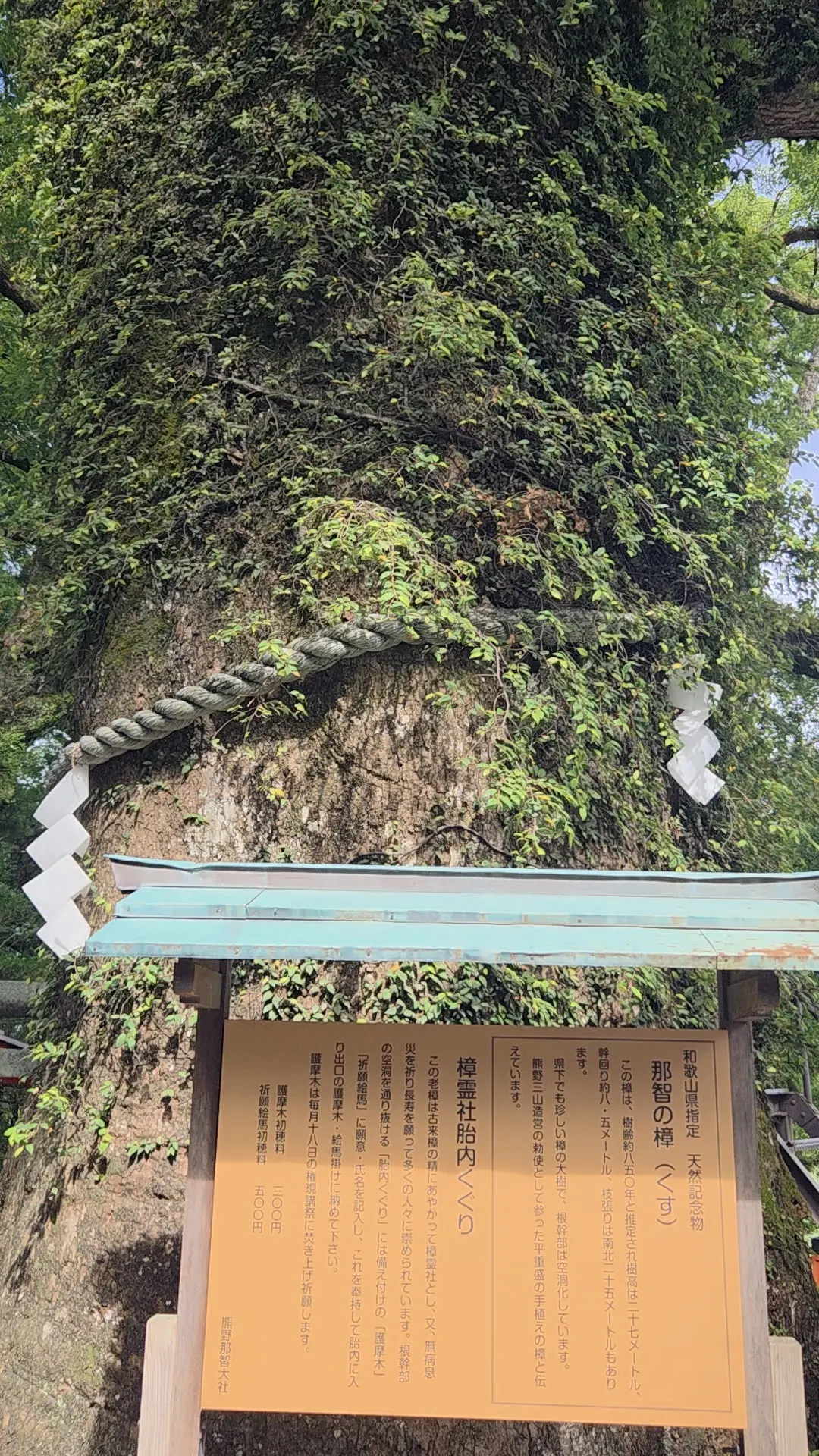 和歌山2泊3日　熊野古道にふれる世界遺産の旅①_1_8-1