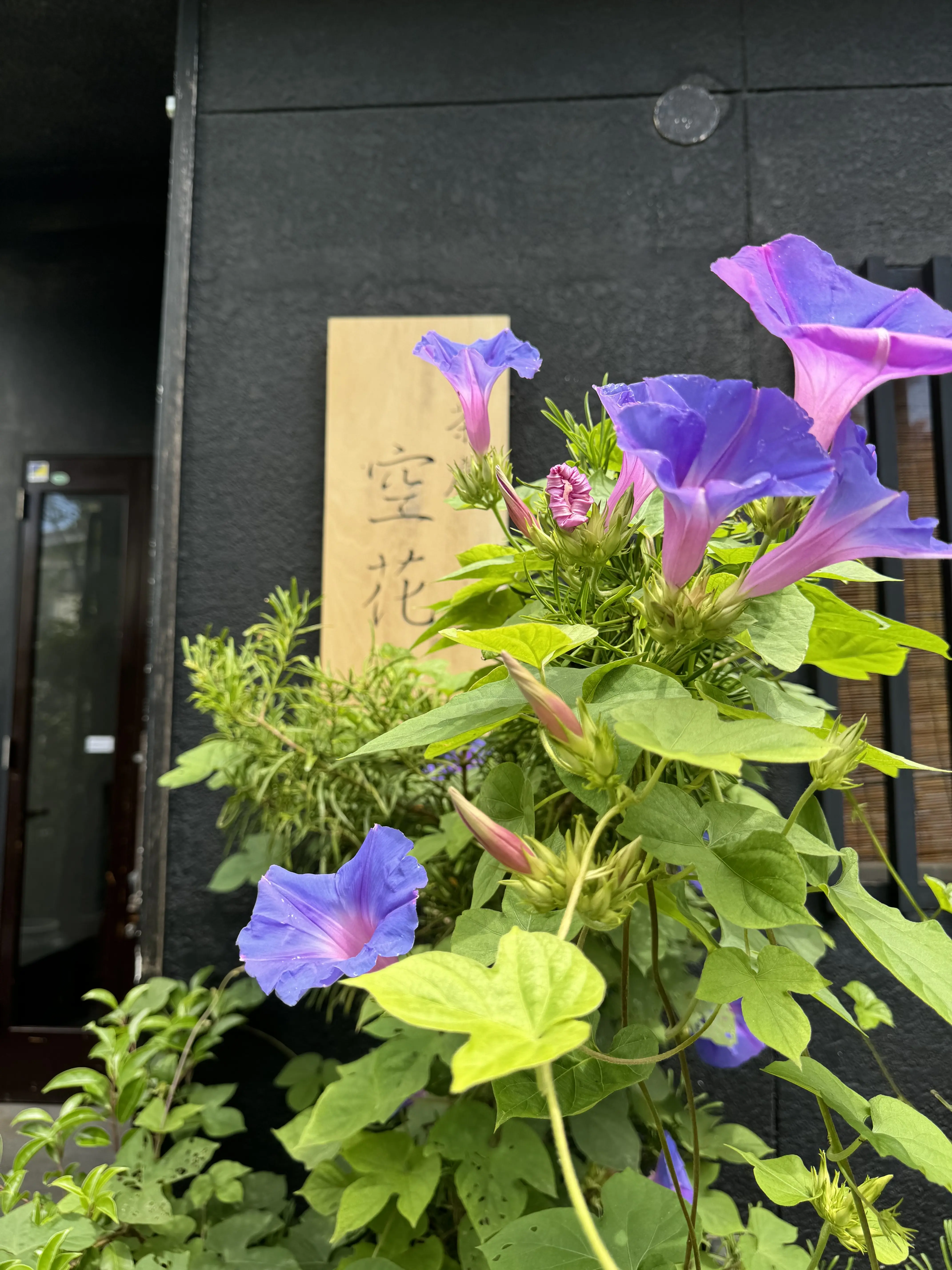 鎌倉散歩のごほうび時間♪_1_11