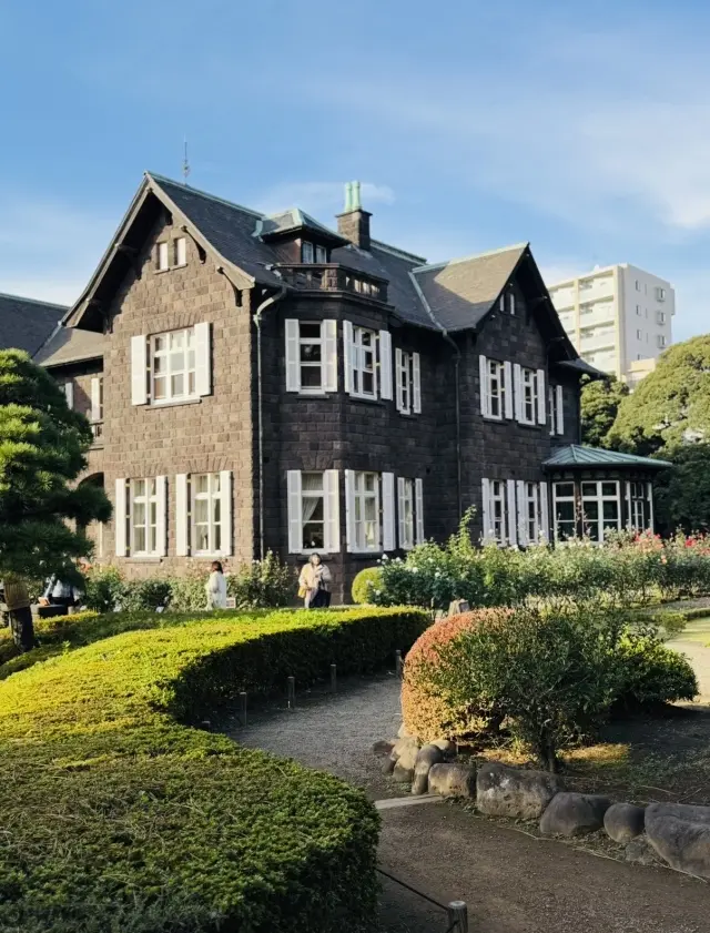 美しいバラと紅葉、旧古河庭園へ_1_3