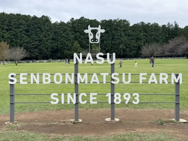 【秋の那須旅行①】超人気ベーカリーレストラン「ペニーレイン」、千本松牧場で馬と触れ合い_1_6